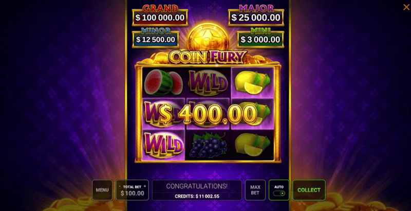 Coin Fury - winning combination